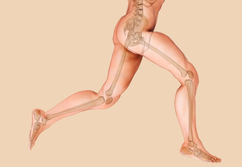 Los beneficios de correr para el cuerpo humano