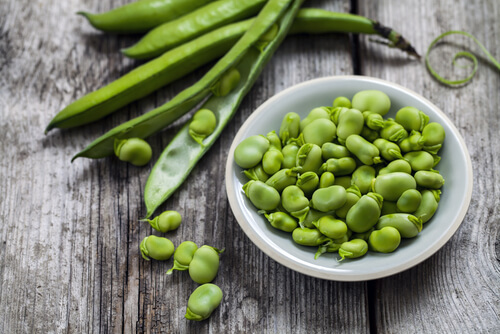 Las habas son originarias del Mediterráneo y Asia Central, pero en la actualidad se cosechan en todo el mundo.