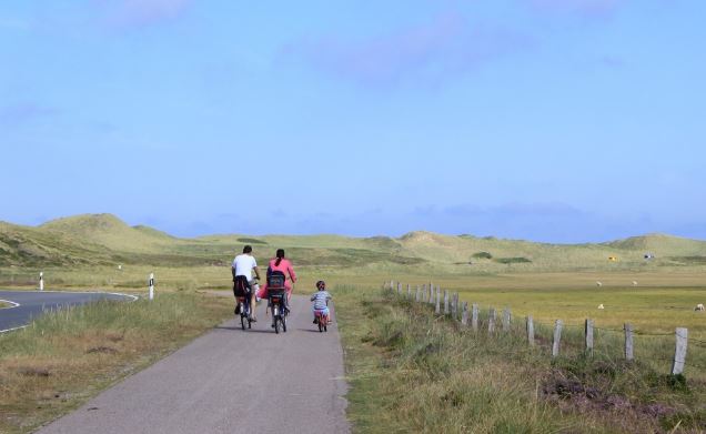 Los paseos en familia son de las actividades favoritas de un adicto de la bicicleta.