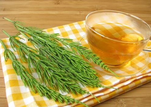 Es bueno para la salud tomar una infusión de cola de caballo.