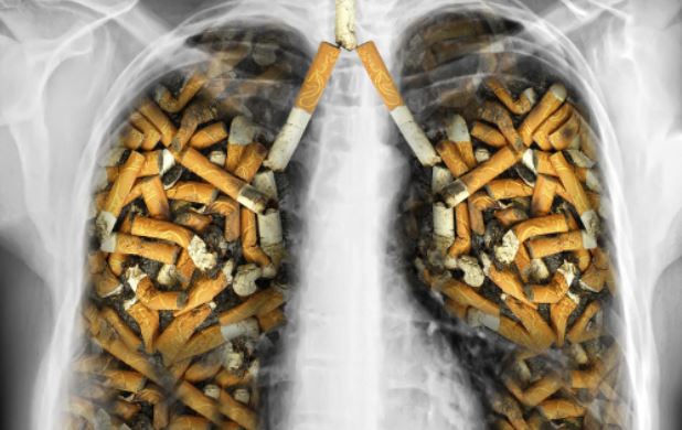 Pulmones con tabaco en el interior.