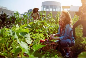 Alimentos de temporada para estar sano