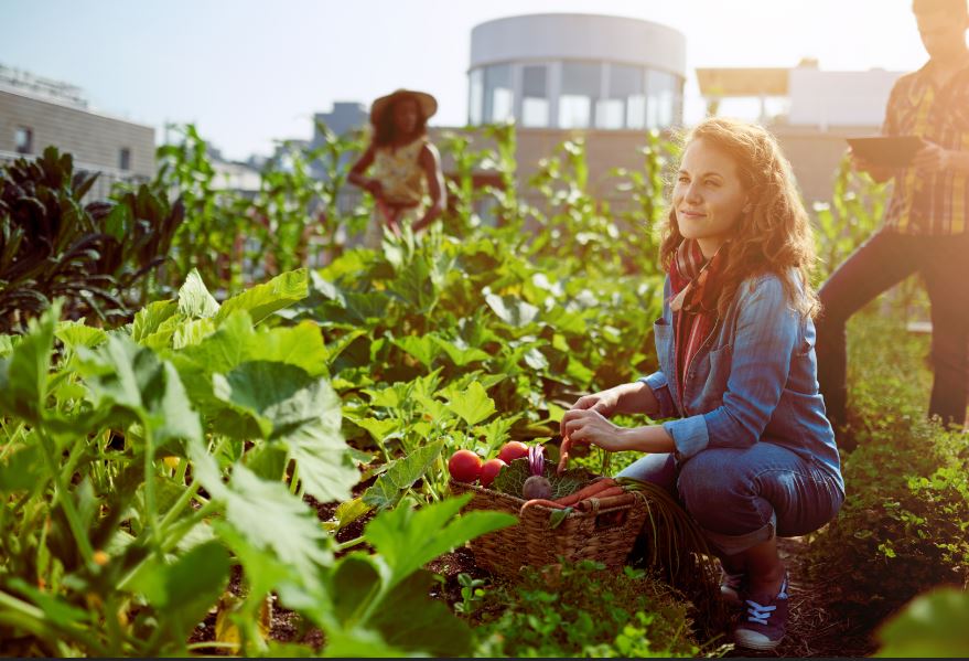 Alimentos de temporada para estar sano Alimentos de temporada para estar sano