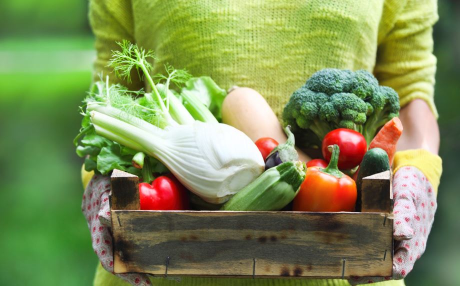 Los alimentos ecológicos tienen un precio más elevado que los convencionales y su aspecto no es tan bonito.