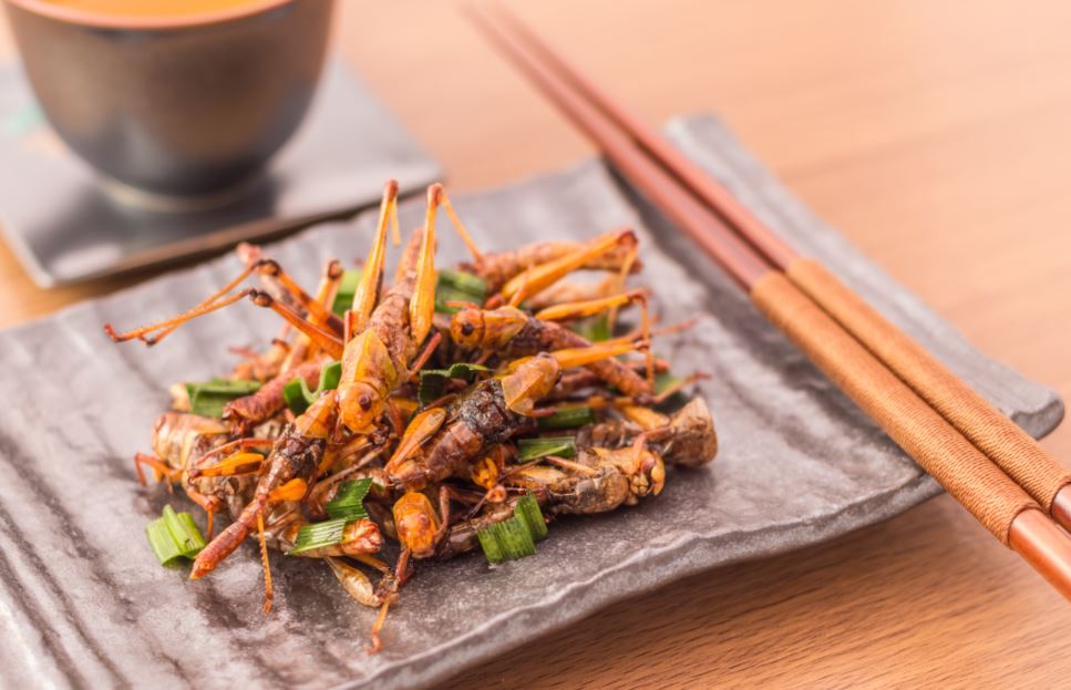 Es habitual ver por cualquier calle de China o Japón puestos de comida ambulante en los que venden tanto insectos como gusanos fritos para consumir como snack.