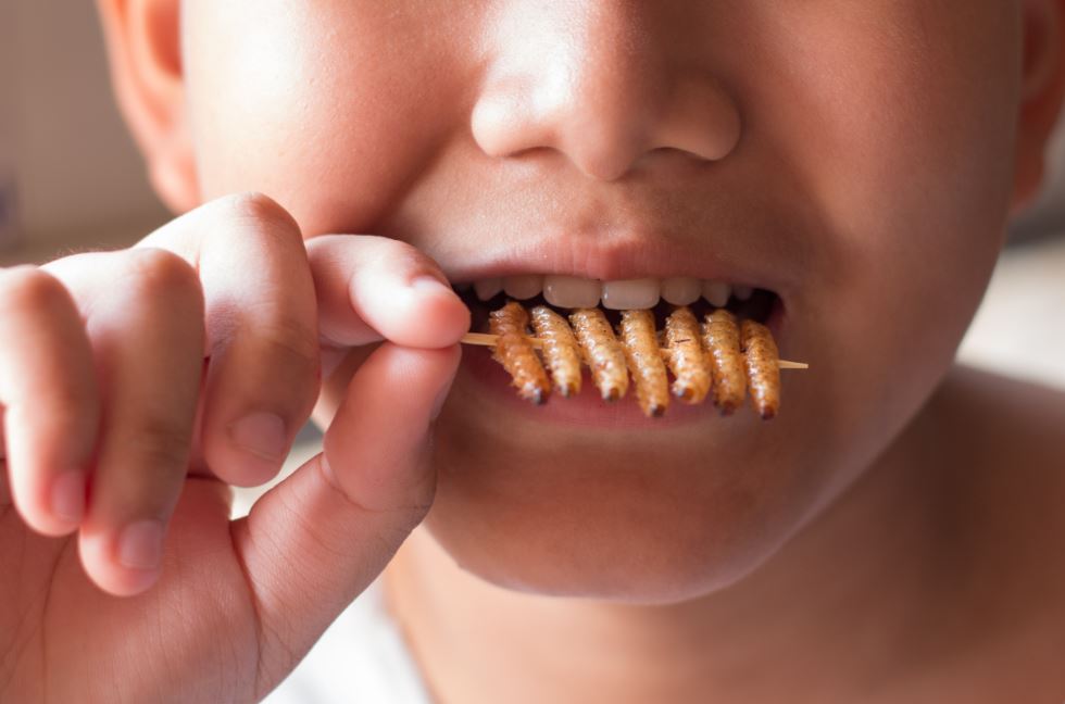 Comer insectos.