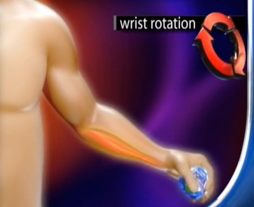 Ejercicios de antebrazo con Power Ball.