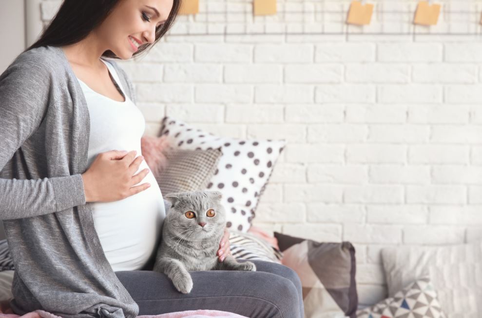 Cómo te afecta la toxoplasmosis en el embarazo Cómo te afecta la toxoplasmosis en el embarazo