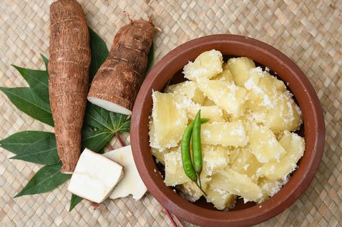 Propiedades de la Yuca Propiedades de la Yuca
