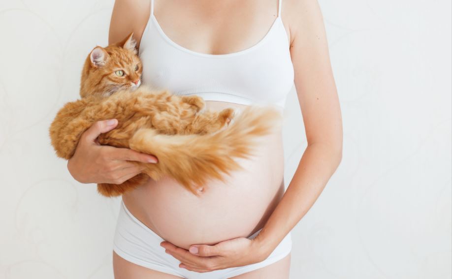 Toxoplasmosis en el embarazo.