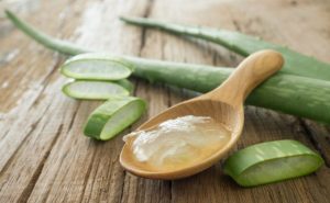 El aloe vera y sus beneficios