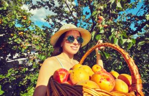 Beneficios y curiosidades del melocotón