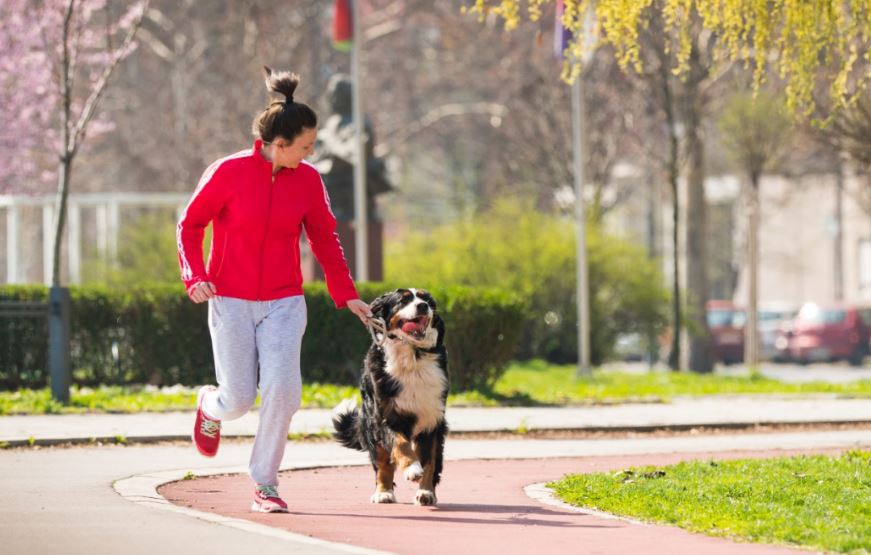 Los beneficios de correr con tu perro.