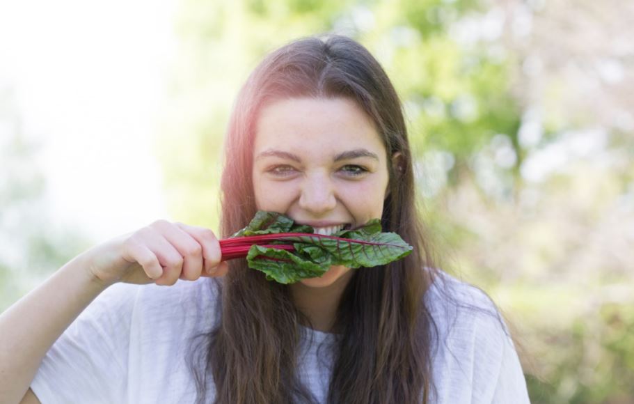 Alimentos ricos en hierro Alimentos ricos en hierro