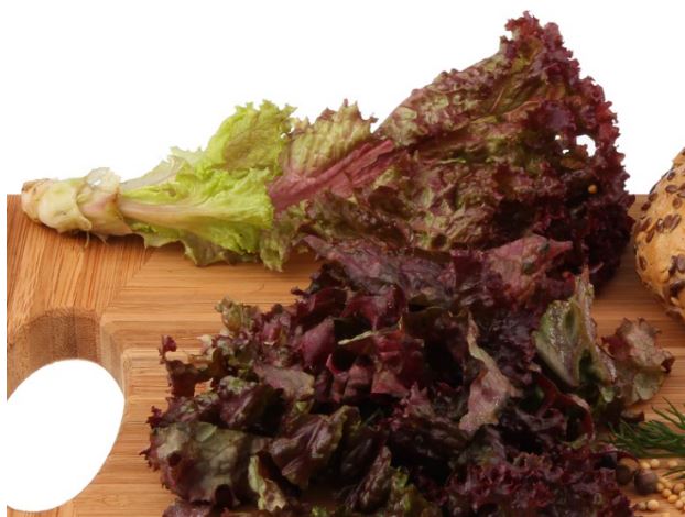 Lechuga roja.