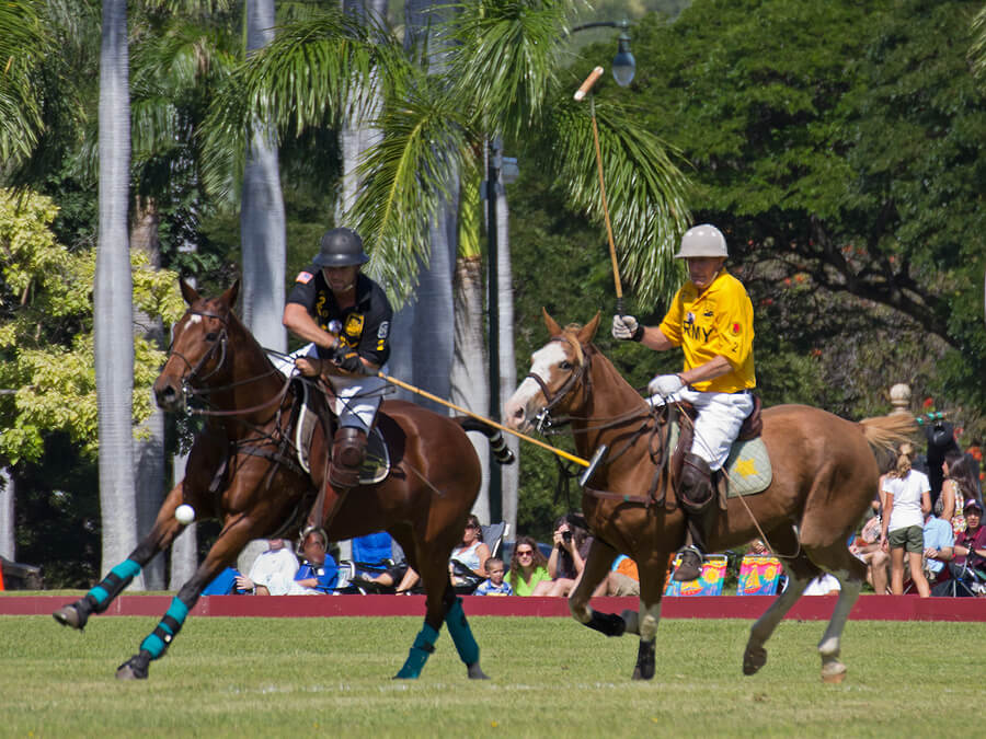 Indudablemente, el polo es uno de los deportes más caros.