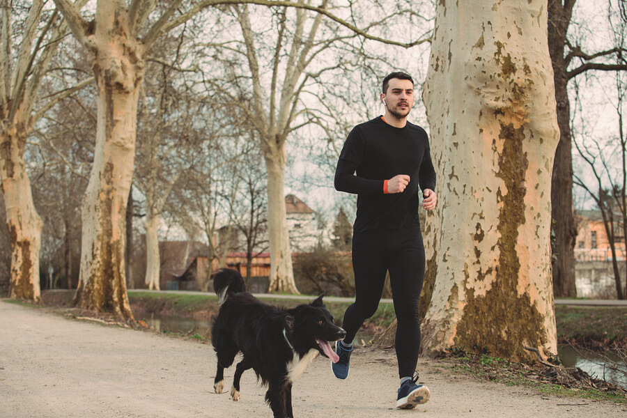 Para salir a correr con tu perro, es fundamental que el avance en cuanto a exigencia sea progresivo.