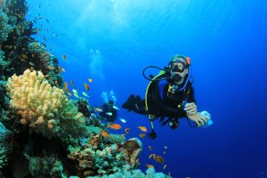 7 mejores lugares donde hacer buceo