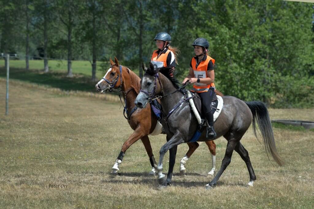 El enduro es una etapa exigente para el caballo y el jinete.