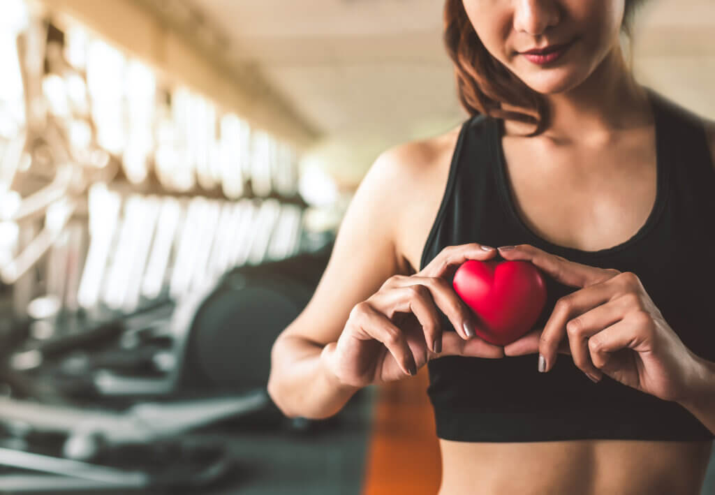 La vitamina K favorece el sistema cardiovascular.