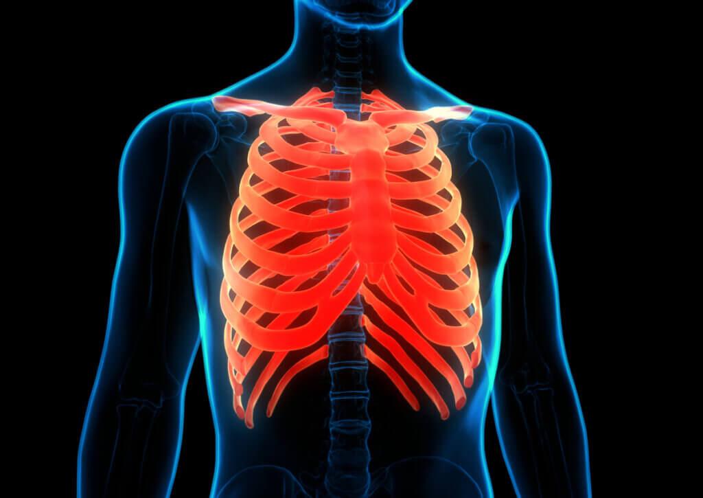 Anatomía de las costillas en el cuerpo humano.
