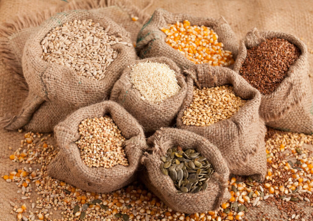 Las semillas son vegetales ricos en proteínas.