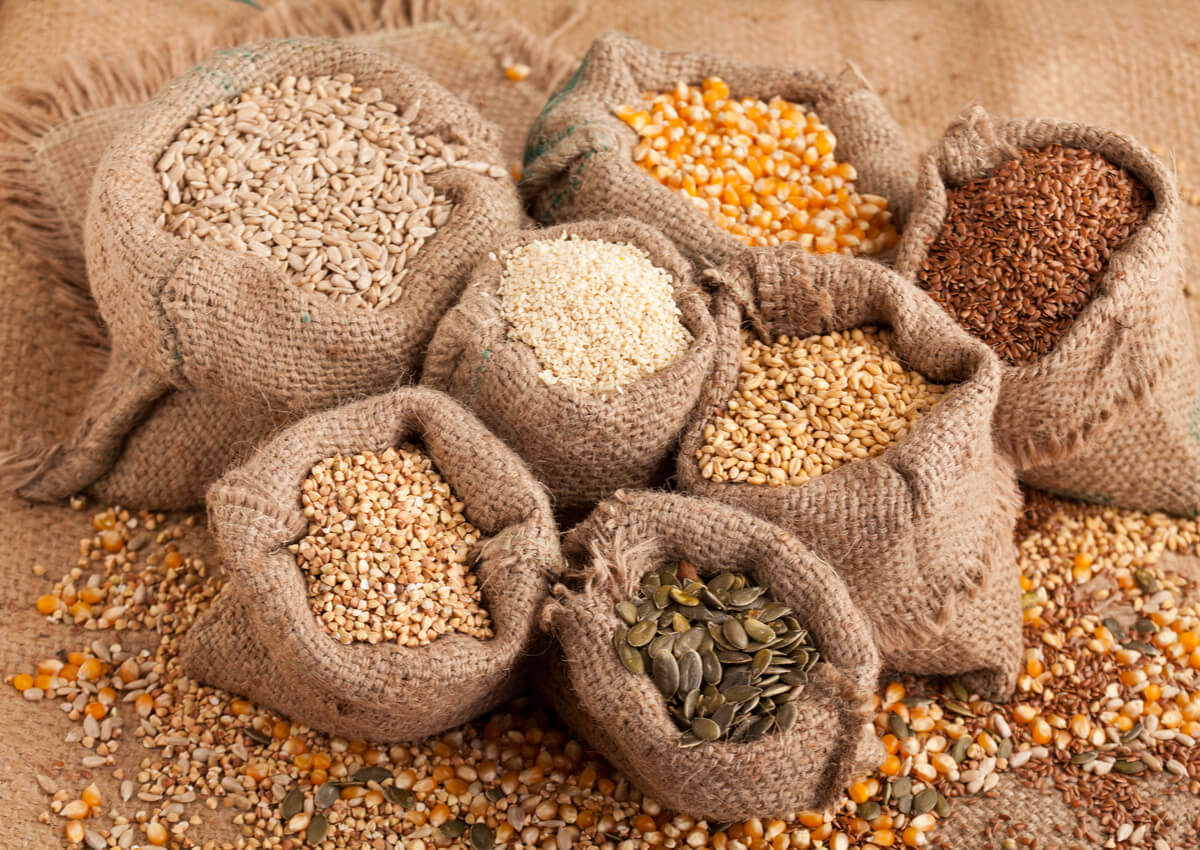 Las semillas son vegetales ricos en proteínas.