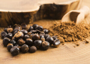 ¿Qué propiedades tiene el guaraná?