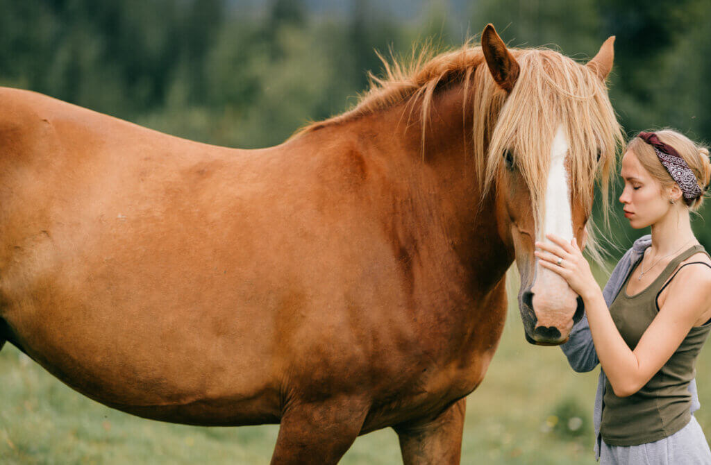 Mujer realizando terapia psicológica con un caballo.