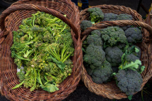 ¿Cómo hacer la dieta de pollo y brócoli para bajar de peso?