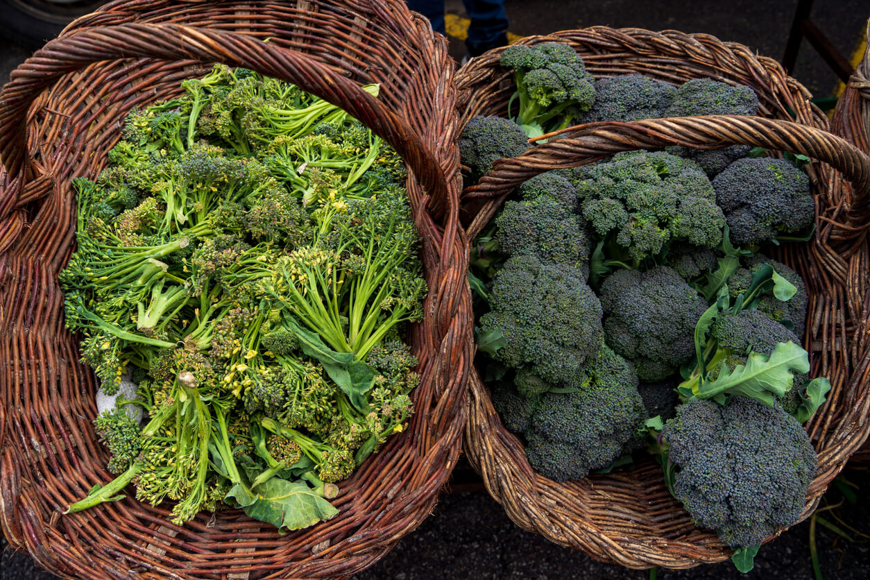 ¿Cómo hacer la dieta de pollo y brócoli para bajar de peso?