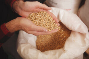 ¿Cuál es la importancia de añadir fibra en las dietas?