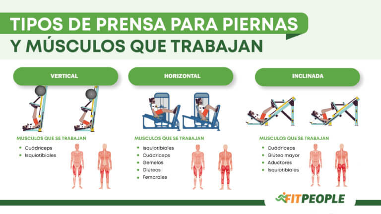 tipos de prensa para piernas y músculos que trabajan